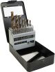 Skil 21pc Gold Oxide Twist Drill Bit Set