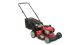 Troy-Bilt 21