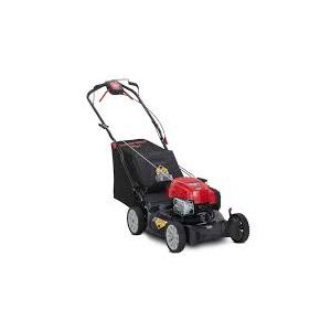 Troy-Bilt 21