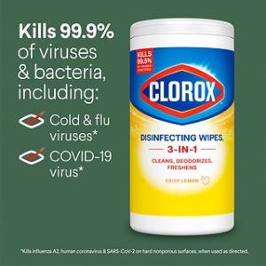 Clorox Disinfecting Cleaning Wipes Tub (35-Count)