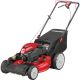 Troy-Bilt 21