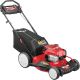 Troy-Bilt 21