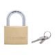 Master 50mm Brass Padlock