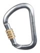 CMC Prosteel Screw-Lock D Carabiner Gry/Brz