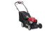 Troy-Bilt 21