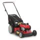 Troy-Bilt 21